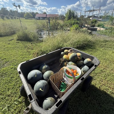 2026 Gardening Season