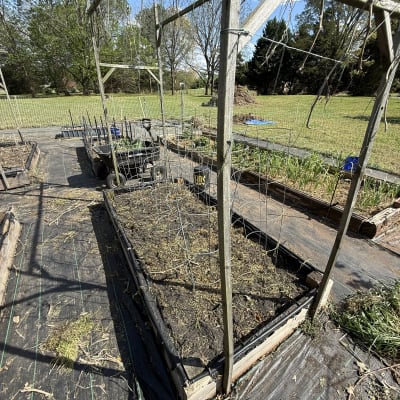 2026 Gardening Season