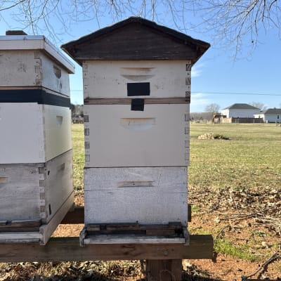 Beekeeping Year 2026