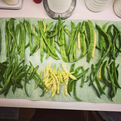 Gale Estates Gardening Highlights