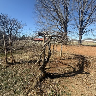 2026 Gardening Season