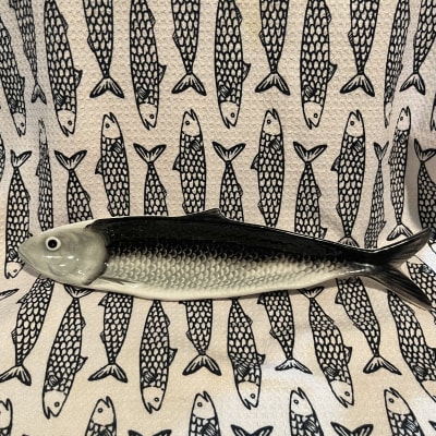 Ceramic Fish 