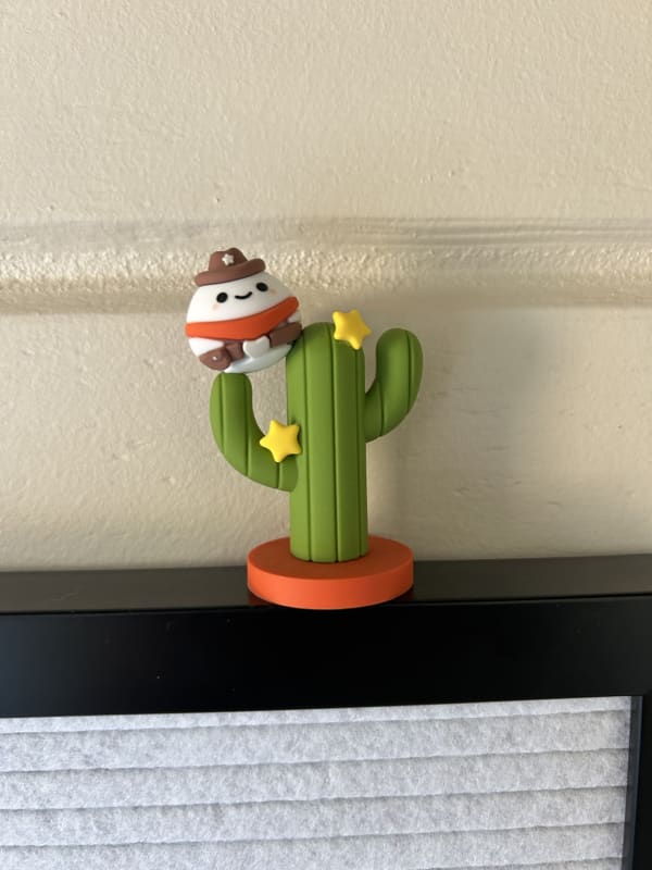 Cowboy on cactus