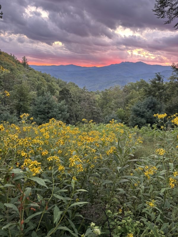 At the tiny house looking at Grandfather Mountain
