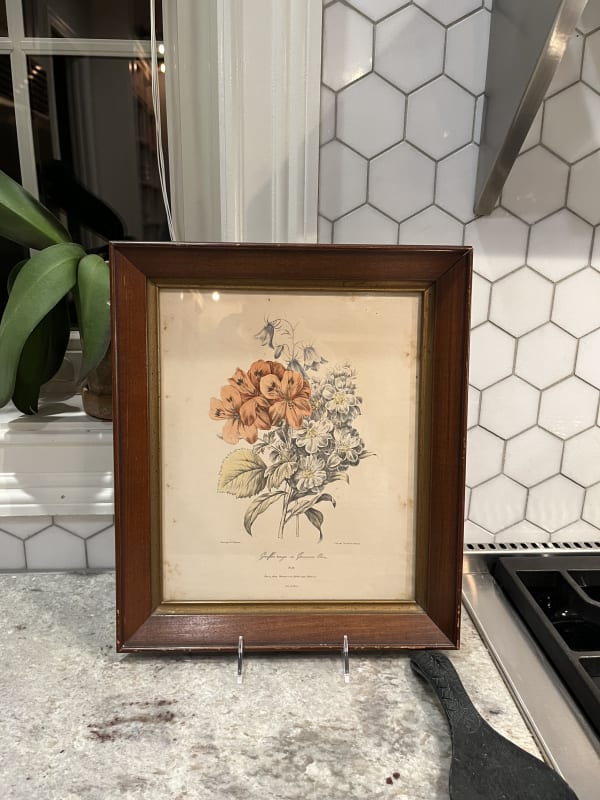 Antique Flower Print