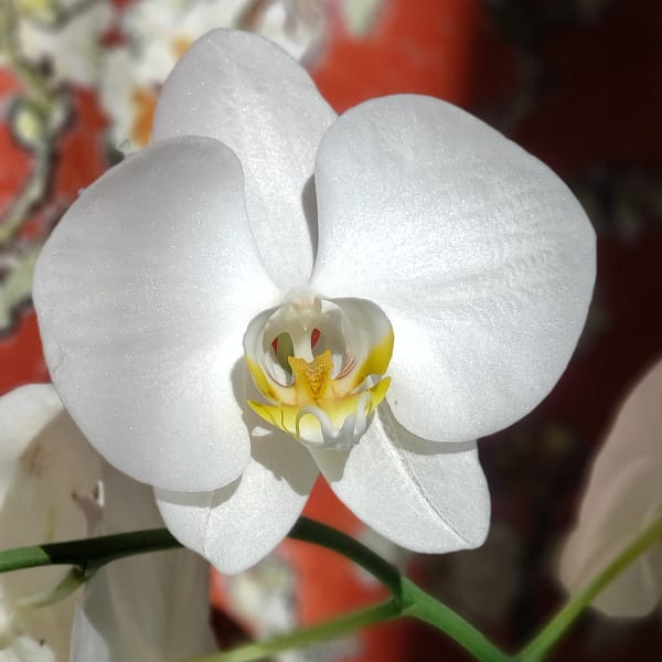 test 1/26/2006 - 001