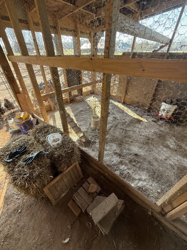Chicken coop spring cleaning