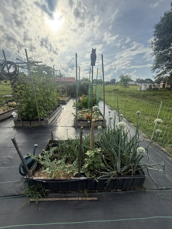 1 - Right Small Bed