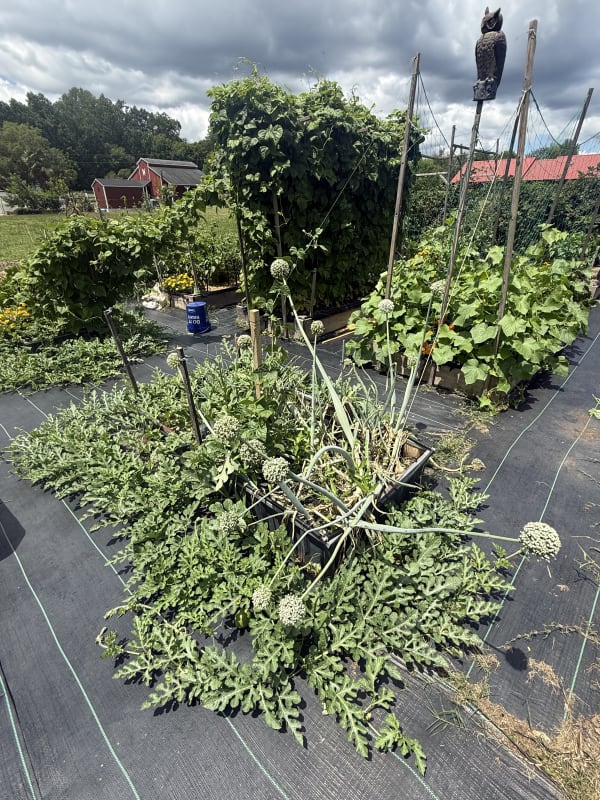 1 - Right Small Bed