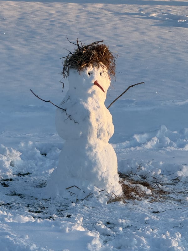 Snowman Winter 2026