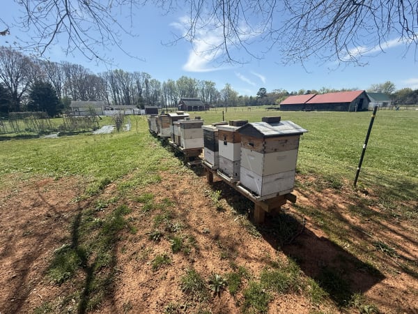 First day of spring is here!