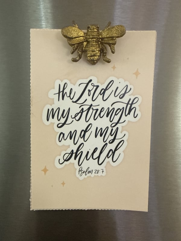 My strength and my shield