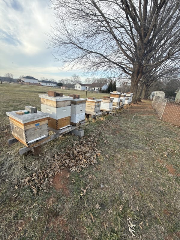 Winter is almost over.