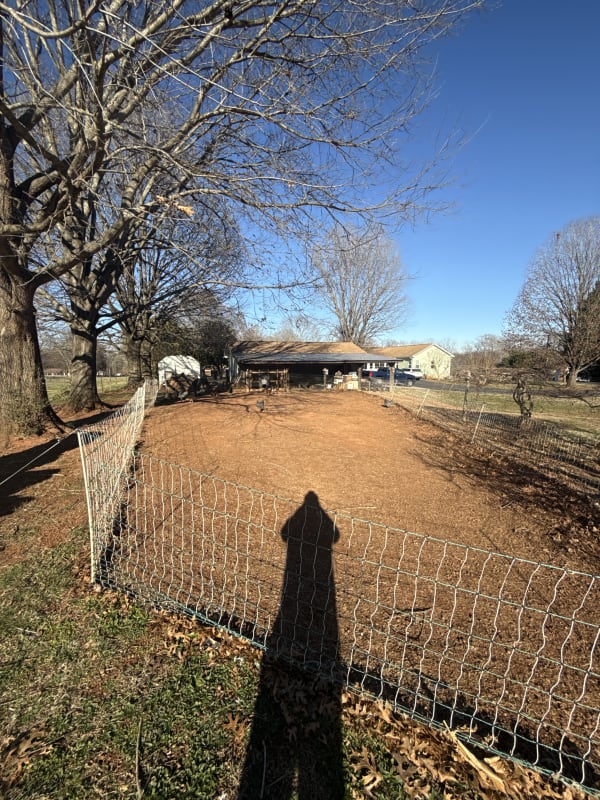 The semi permanent chicken run