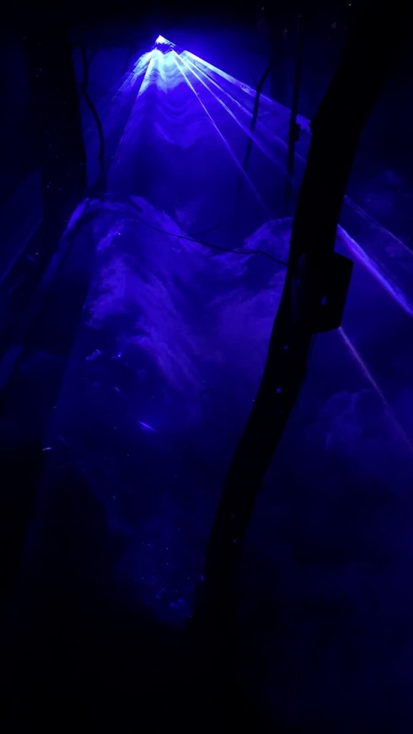 Outdoor art installations at Crystal Bridges (Bentonville, AR)