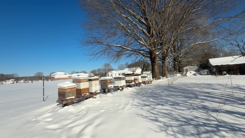 It is sunny but very very cold.  Temperature is in the mid to low teens this morning.