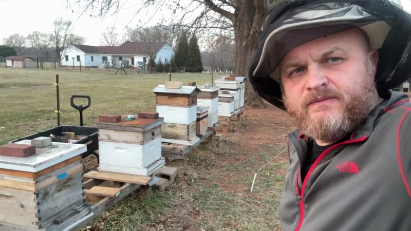 Good warm day to inspect and check the hives.