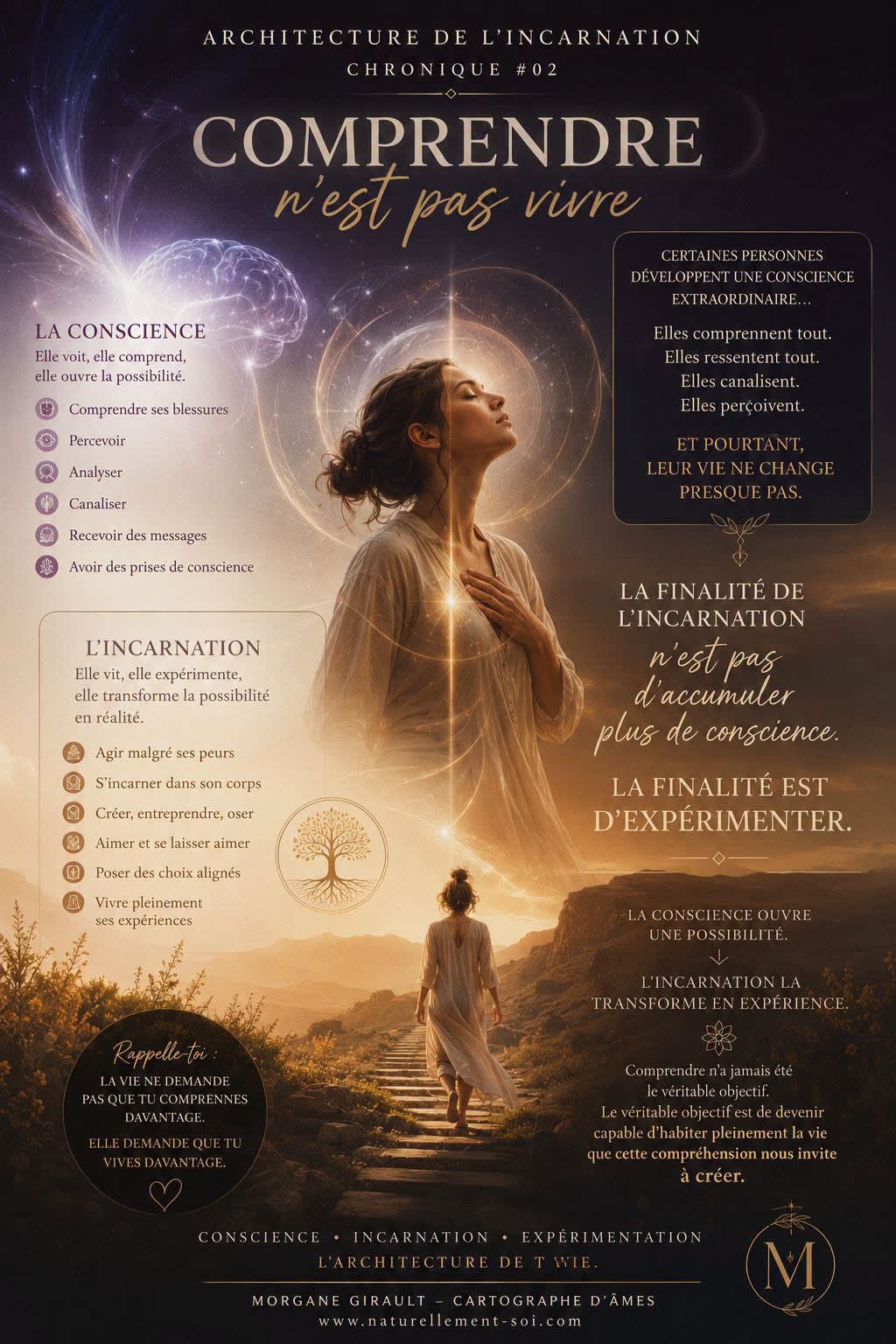 Illustration de la Chronique n°2 sur la différence entre conscience et incarnation