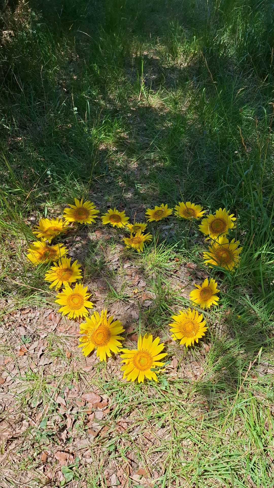 Séances Adolescents et Adultes