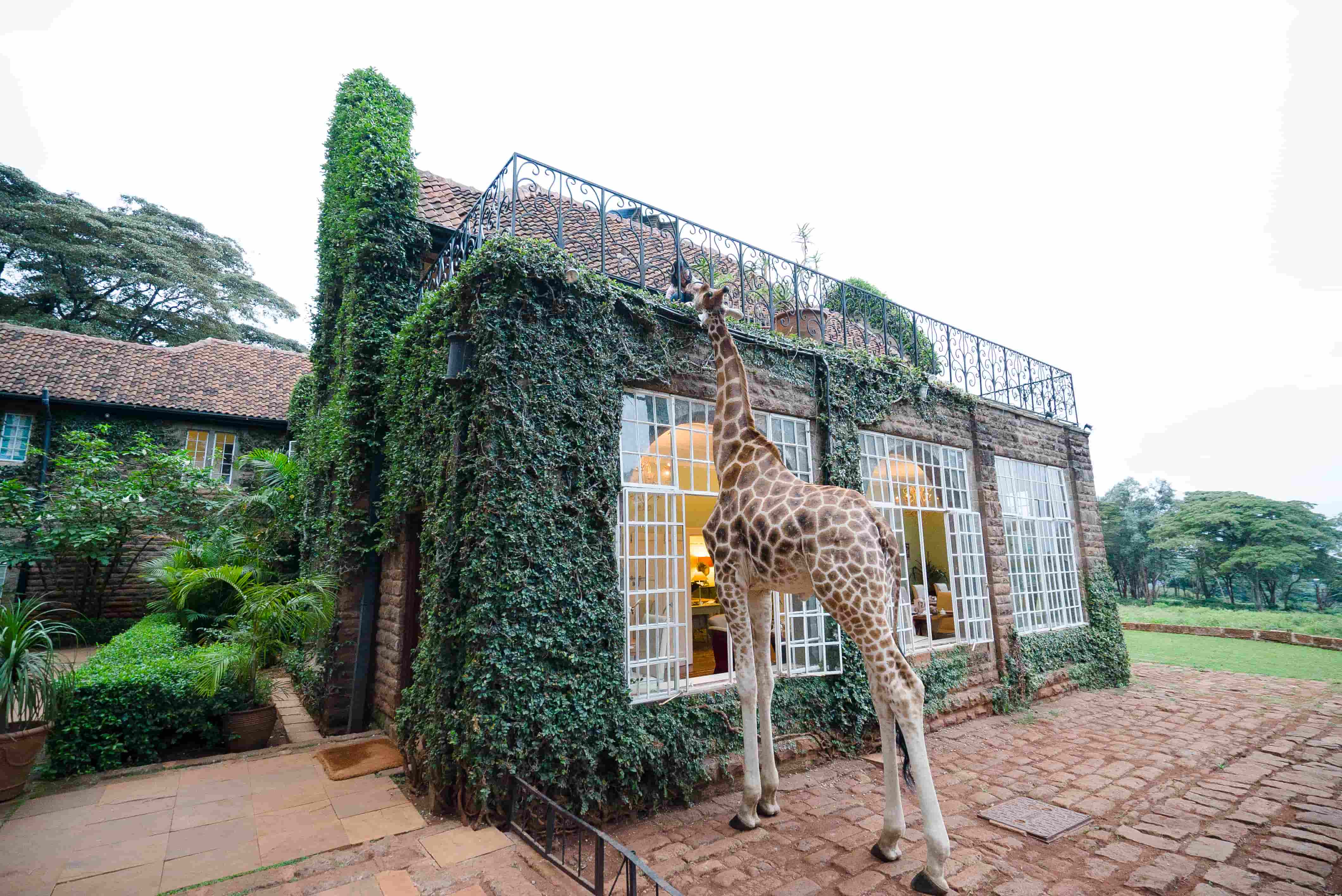 RADIANT NAIROBI SUMMER ADVENTURE