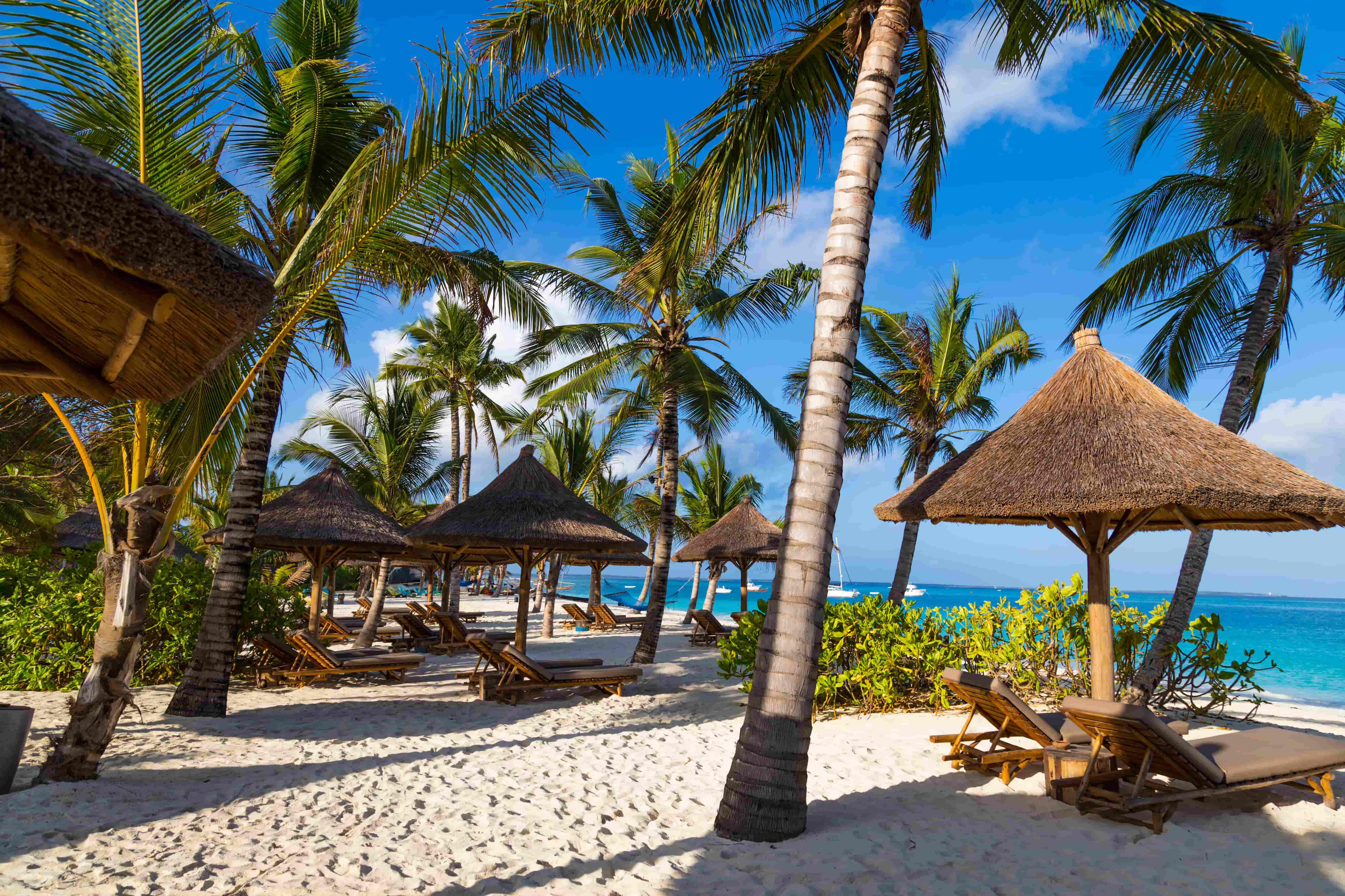 RADIANT ZANZIBAR EASTER SPARKLE Book Cheap Flights around the world Travelbeta