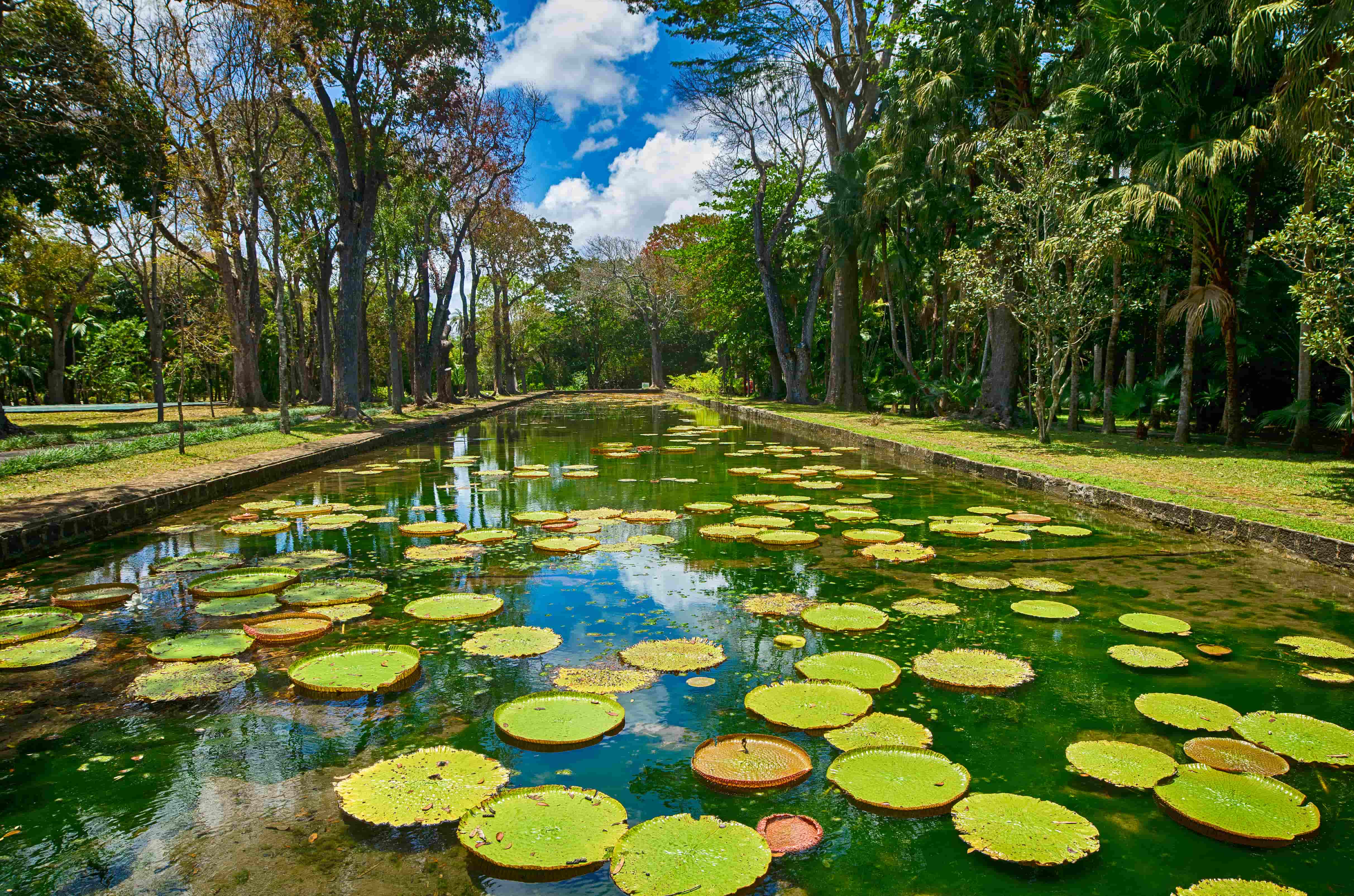 Best honeymoon destinations - Mauritius