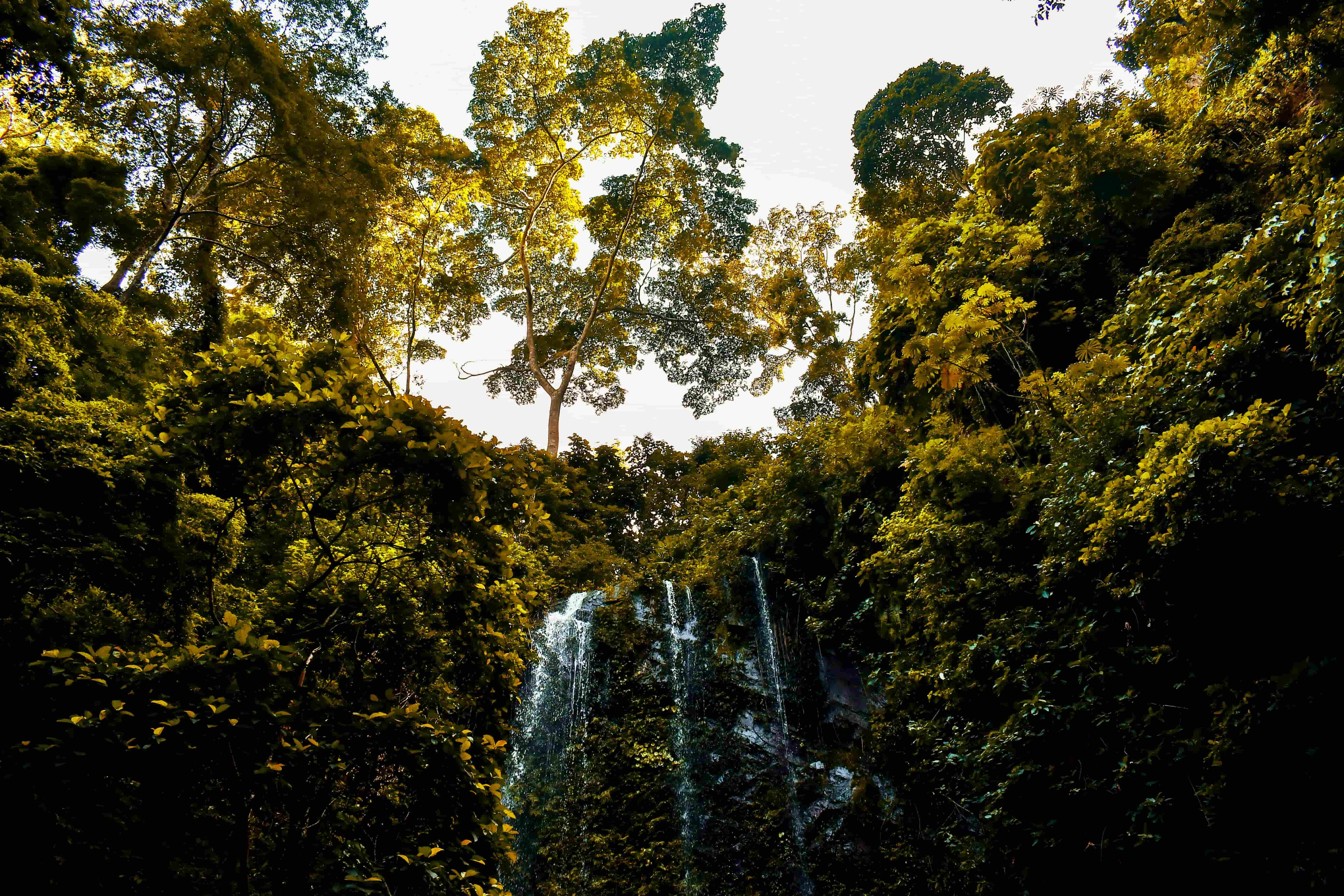 Erin ljesha Waterfall, Osun State