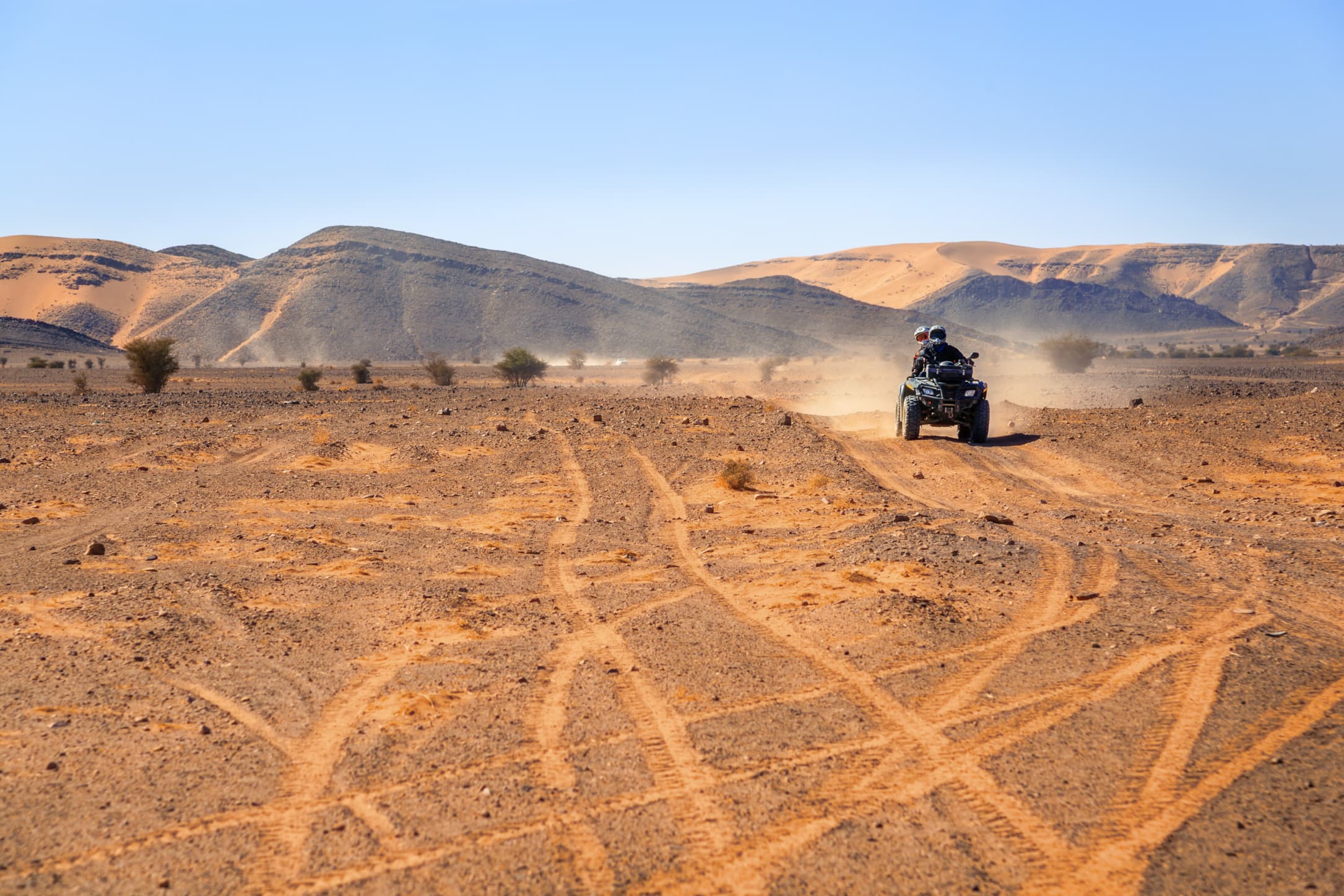CHIMERIC MOROCCAN SUMMER REVERIE