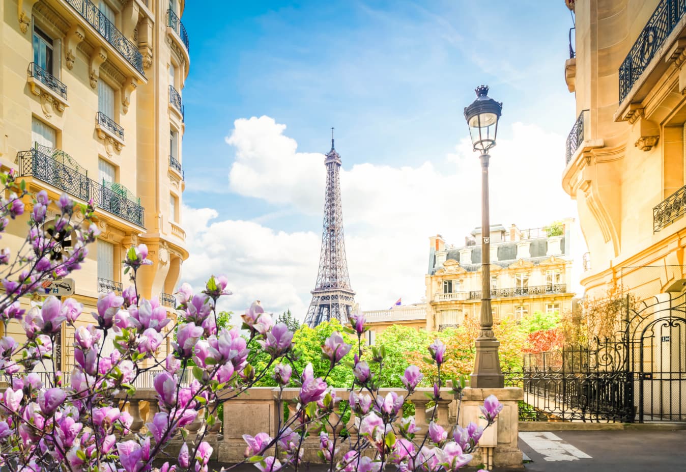 Paris in Summer