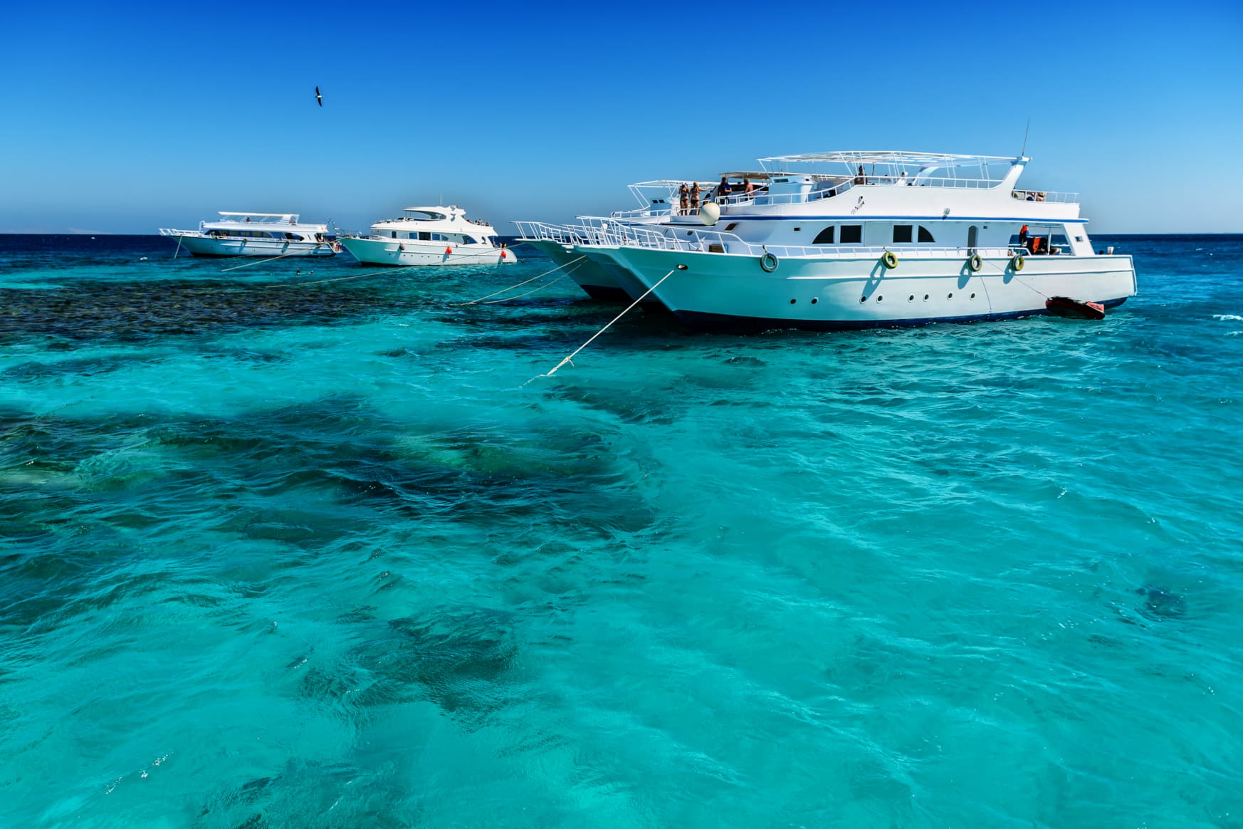 ALLURING EGYPTIAN SUMMER VIBES