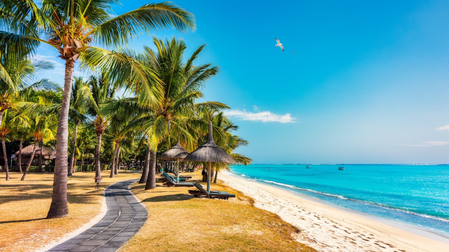 ROUSING MAURITIUS SUMMER RUBY