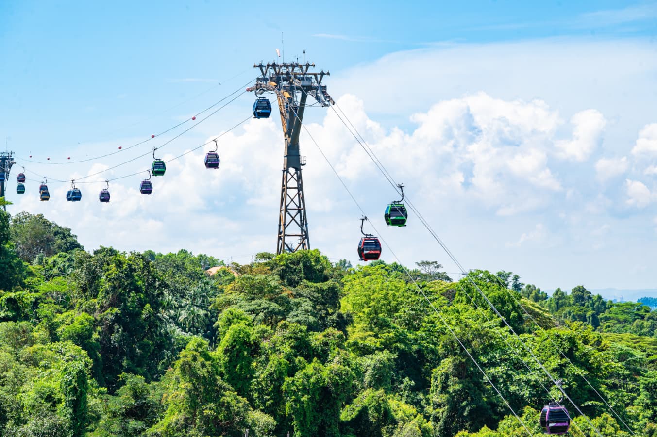 DREAMY SINGAPORE EASTER RUBY