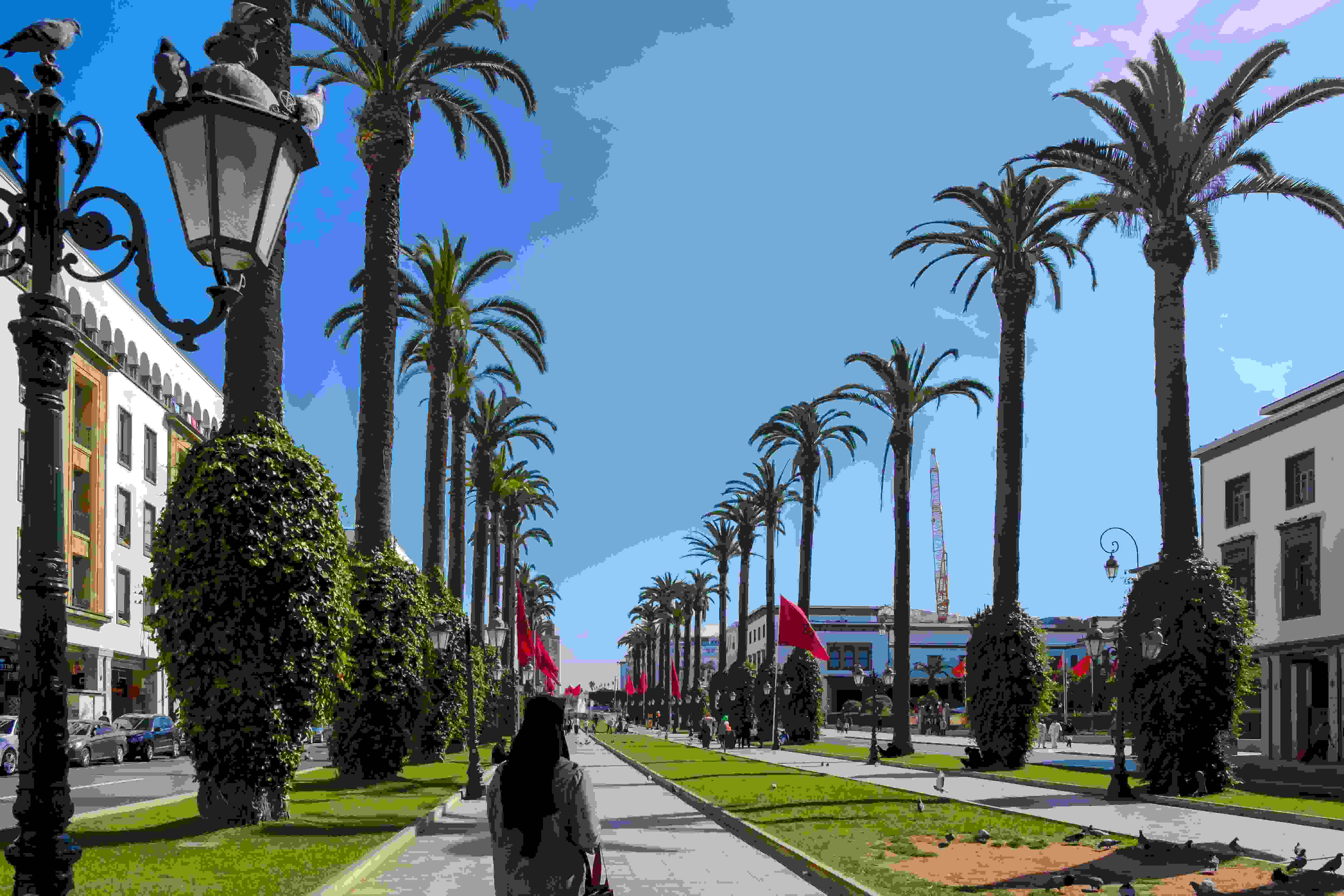 BODACIOUS MOROCCAN EASTER TRANCE