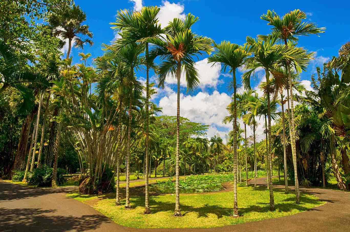 SUBLIME MAURITIUS EASTER ADVENTURE