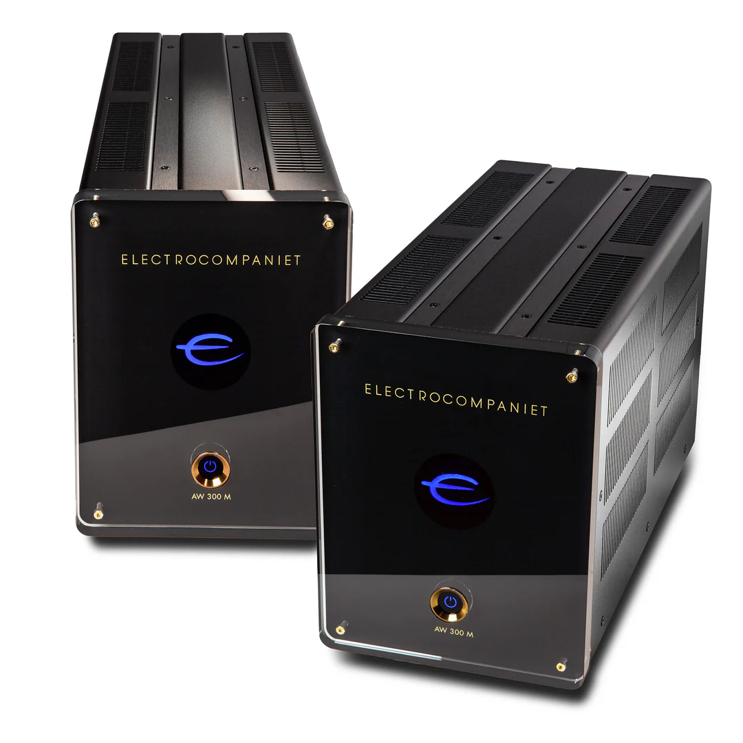 AW 300M Mono Power Amplifier
