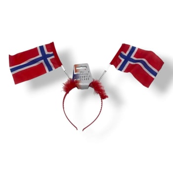 17.Mai Flagg Hode Boppere