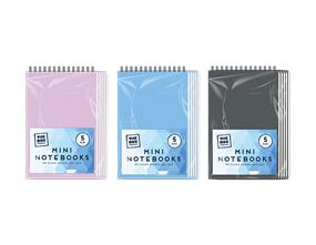 The Box Everyday Mini Notebooks 5pk Div.Farger