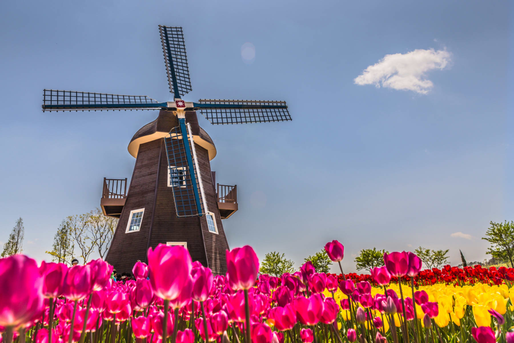 Landelijke Raad: Wat betekent dit voor de recreatieondernemer?
