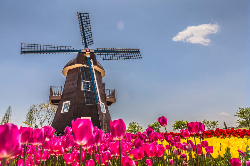 Landelijke Raad: Wat betekent dit voor de recreatieondernemer?