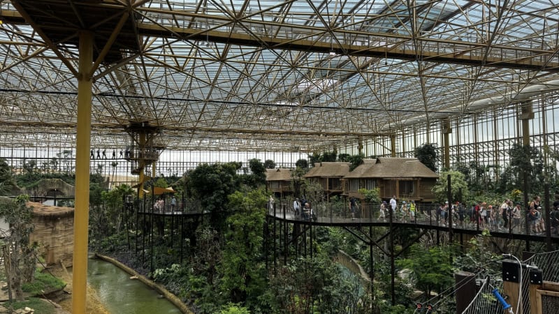 Indoor glass-and-steel conservatory with a raised walkway and visitors touring amid lush tropical plants and thatched huts below.