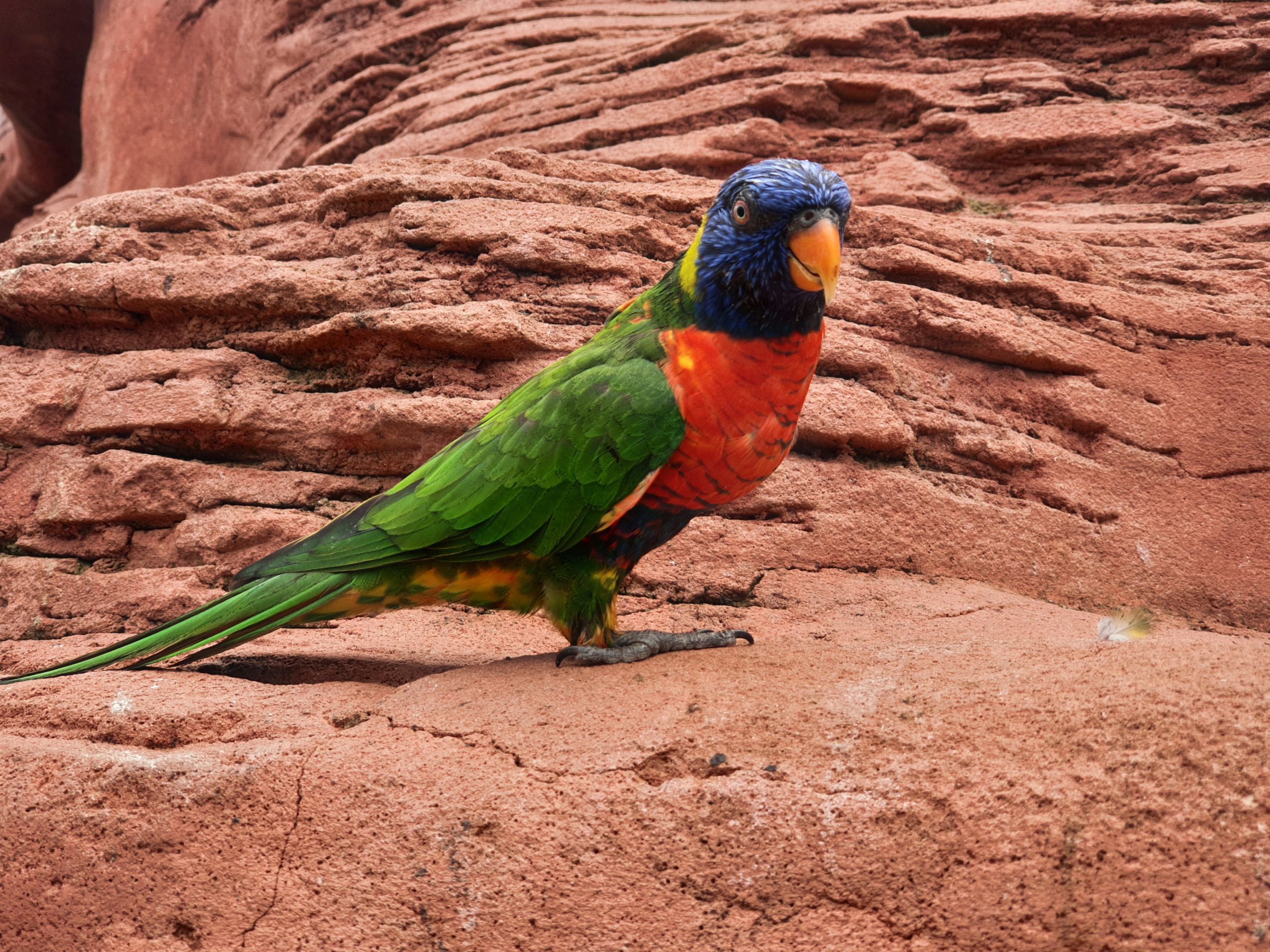Een dagje uit naar Avifauna: Lessen voor de recreatieondernemer