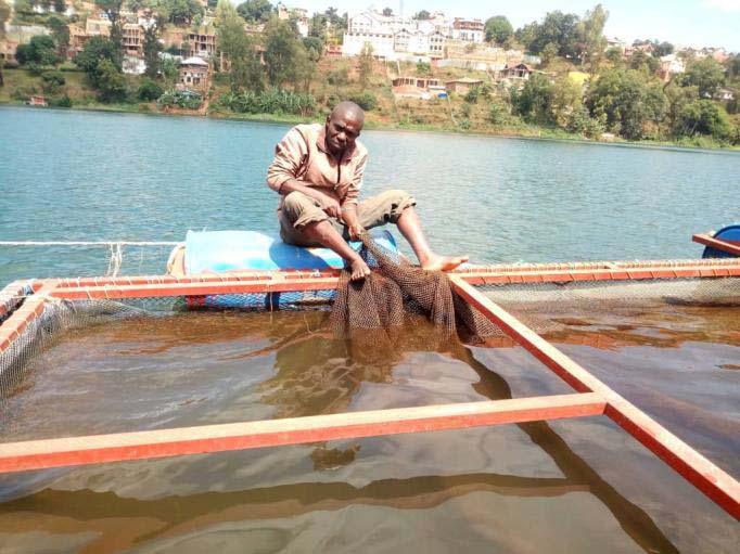 Vue d’une activité de pisciculture en cages sur le lac Kivu.