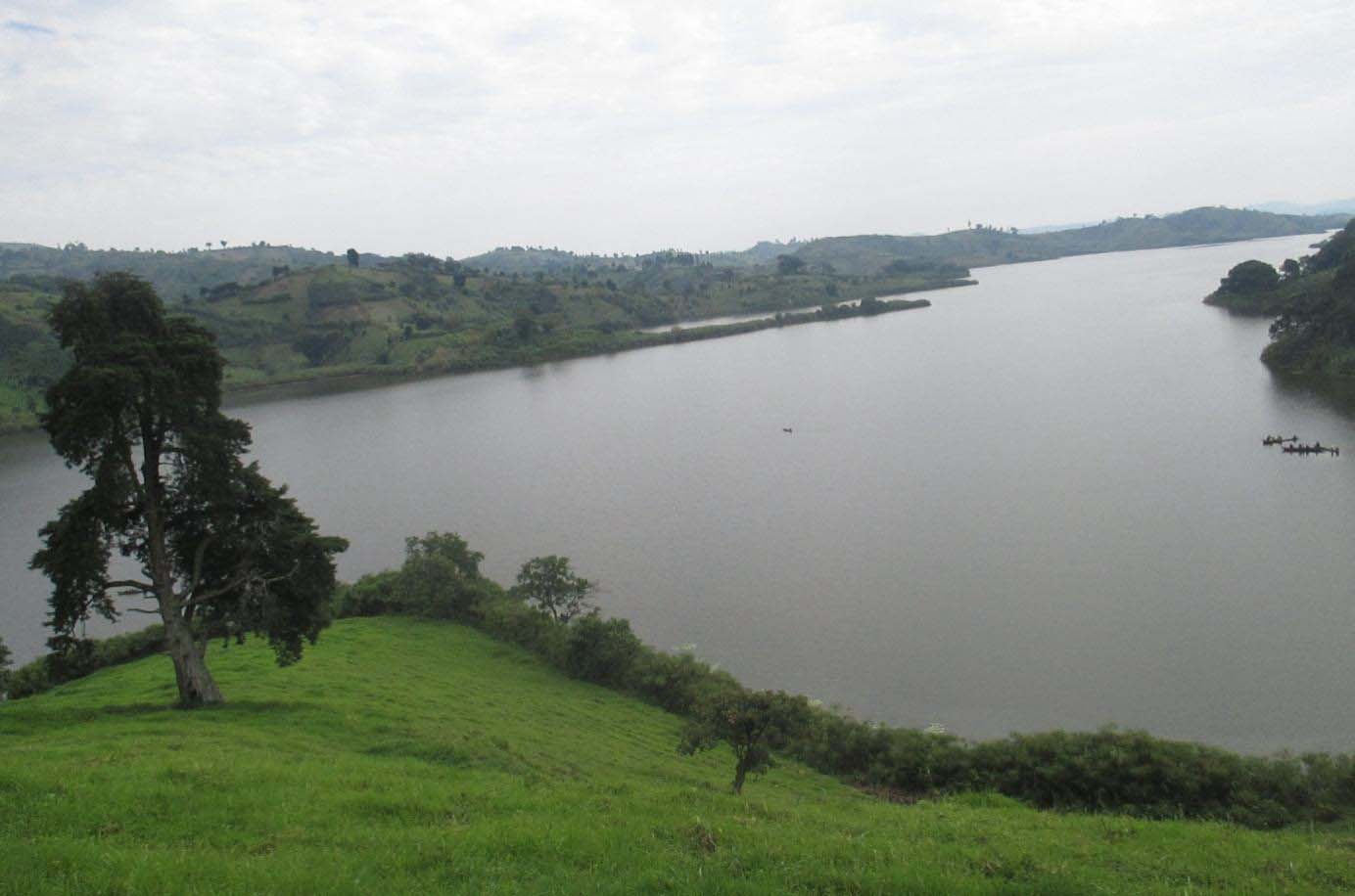 Protéger les maternités des poissons : un engagement communautaire pour le lac Kivu