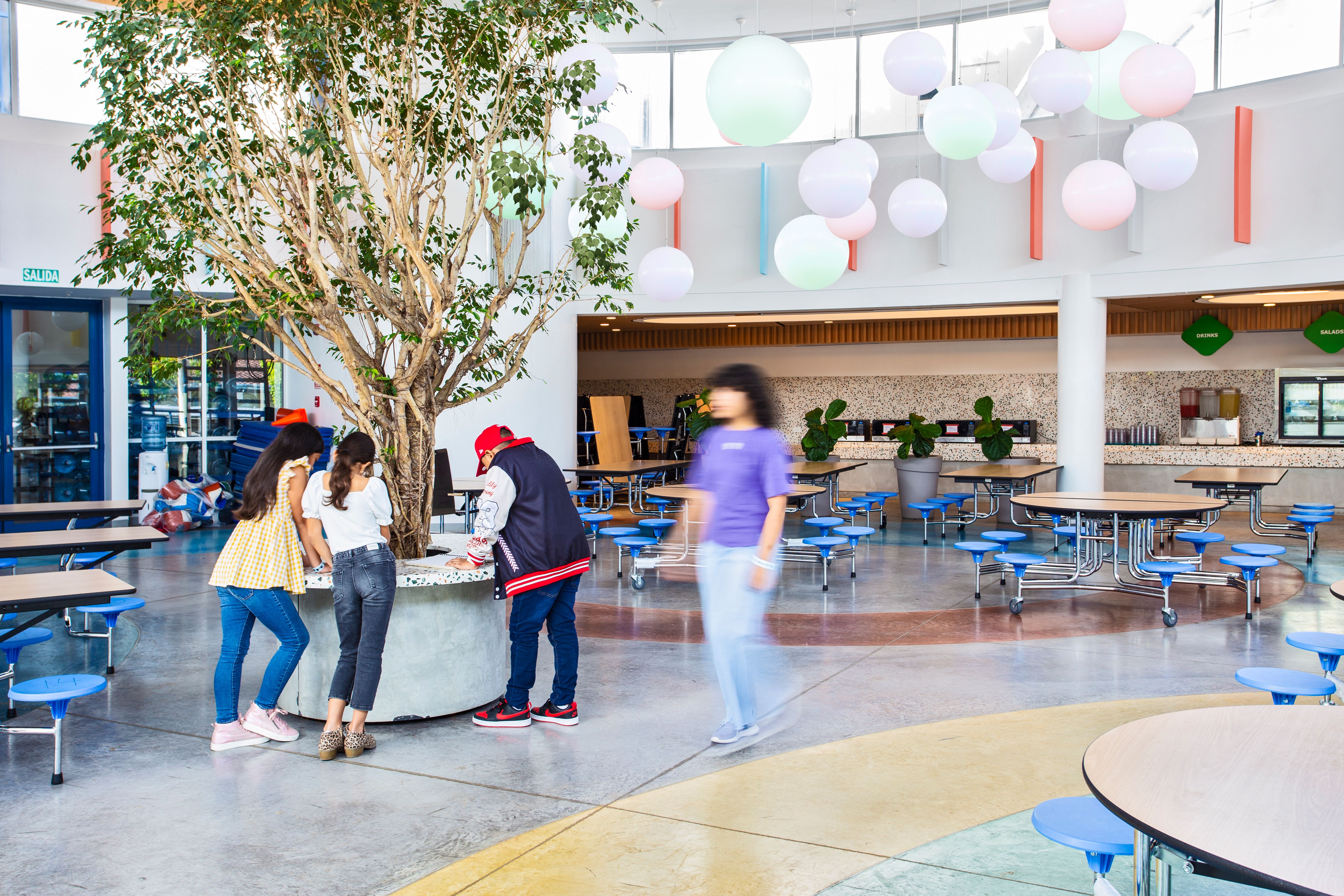 Central Tree Cafeteria ISP.