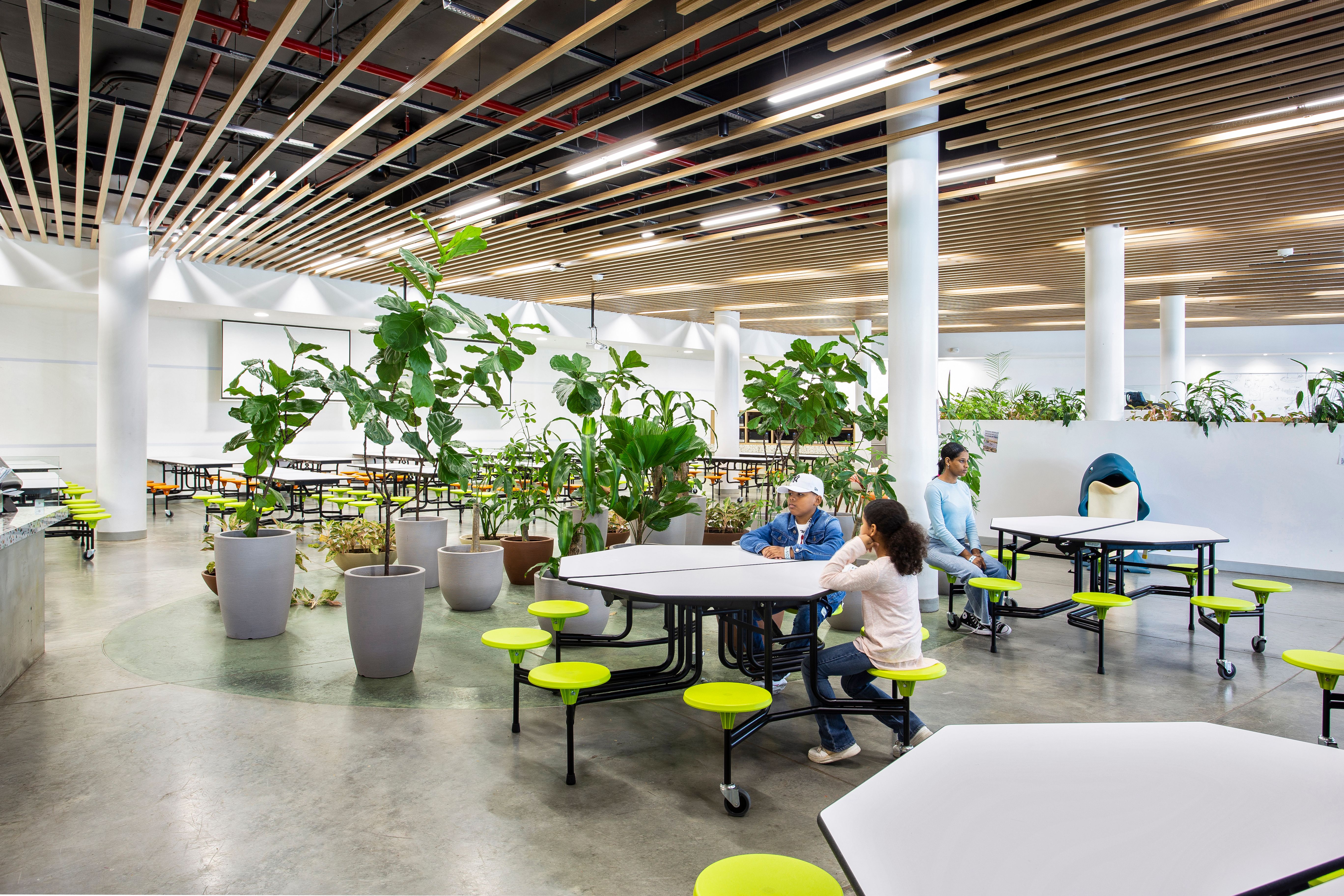 Cafeteria ISP Plantas.jpg