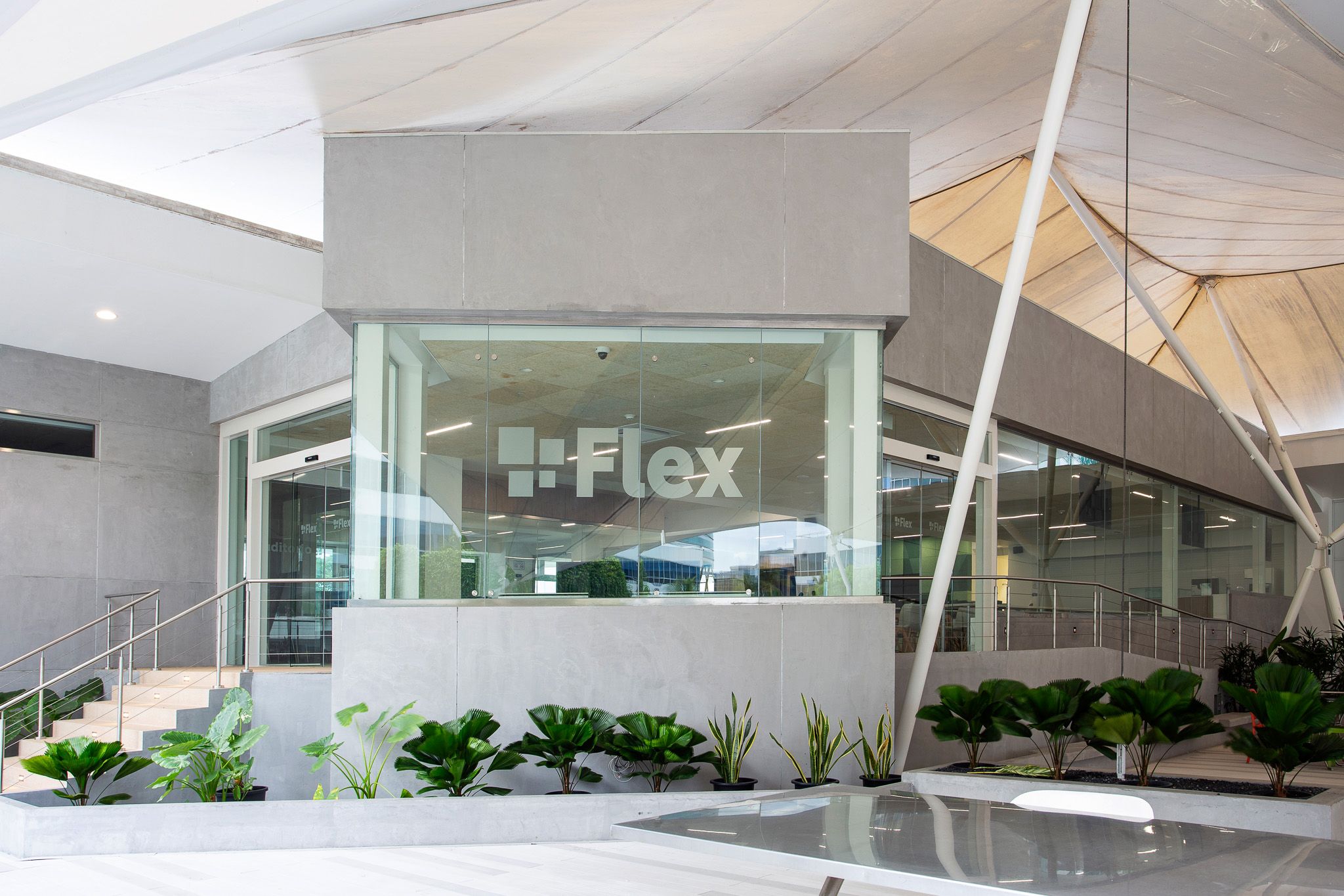 Entrada Flex