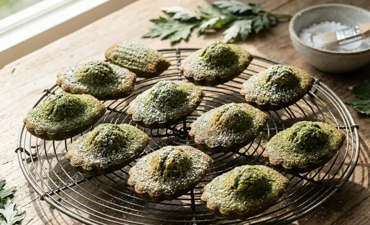 머랭 넣은 쑥 마들렌 레시피 오븐 굽기