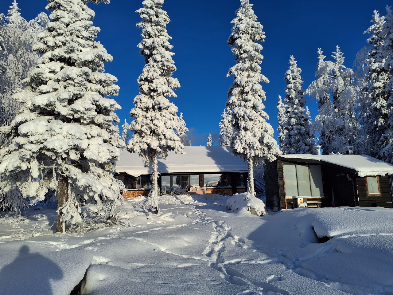 Winter Wonderland at Cape Kalevala