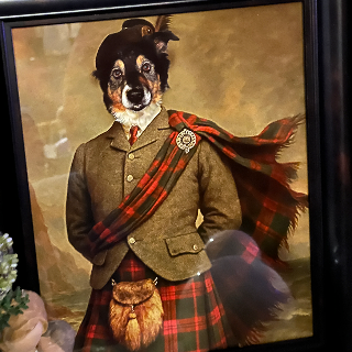 Spaceman profile avatar