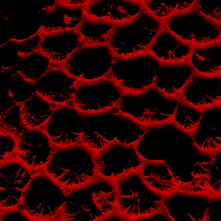 HansD.Heght profile avatar